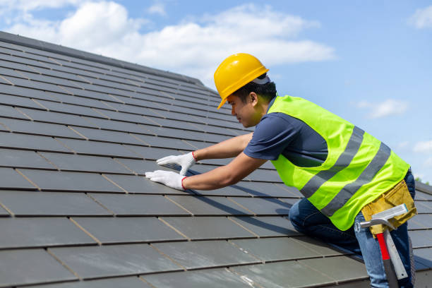Roof Gutter Cleaning in Mount Vernon, IN