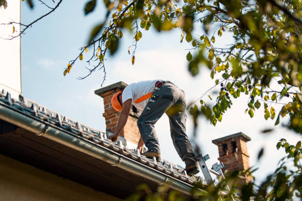 Professional Roofing Contractor in Mount Vernon, IN